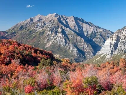 Releasing Stress And Anxiety