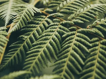 Releasing Stress And Tension