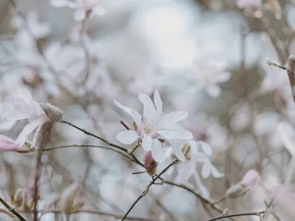 Releasing Stress Before Sleep