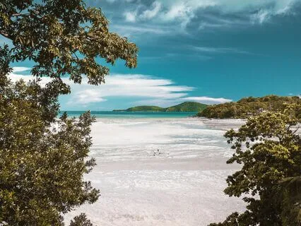 Releasing Stress & Feeling Calm & Relaxed