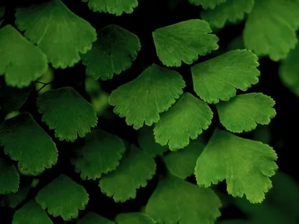 Releasing Stress From The Mind & The Body