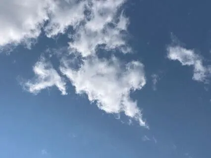 Releasing Stress, Seeing Clearly