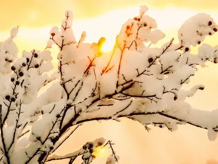 Releasing Struggle With Compassion And Wisdom Meditation