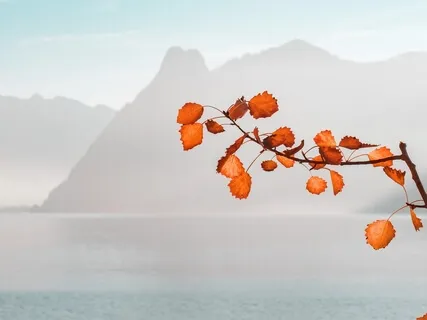 Releasing Tension: Belly