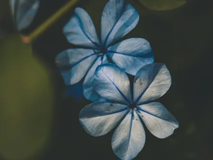 Releasing Tension Into The Earth 