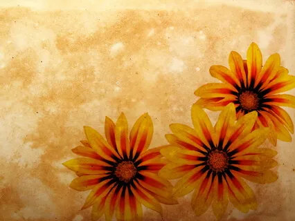 Releasing Tension: Low Back