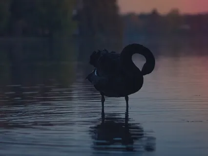 Releasing Tension Meditation