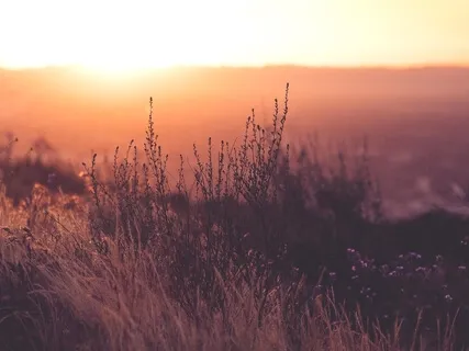 Releasing The Back Of The Neck  (Re-Recorded - Same Words, New Recording)