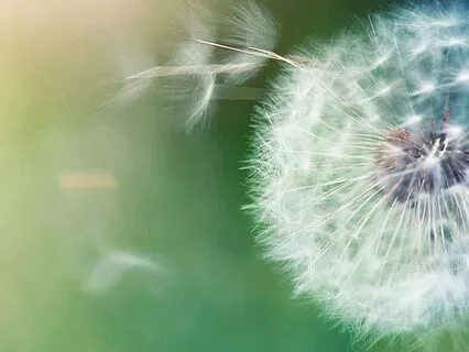 Releasing The Endless To-Do List