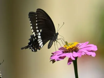 Releasing The Excess Weight