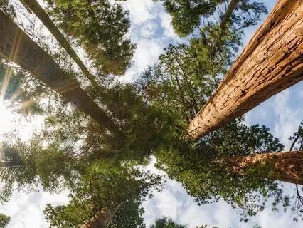 Releasing The Fear Of Being Seen