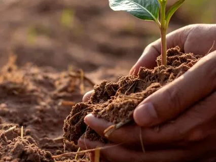 Releasing The Fear Of The Unknown & Cultivating Trust