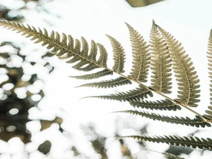 Releasing The Good Girl Guided Visualization