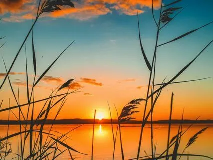 Releasing The Grip Of Anxiety