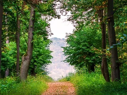 Releasing The Grip Of Emotional Cancers