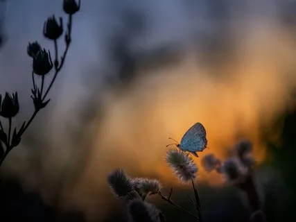 Releasing The Hurt From Your Mom