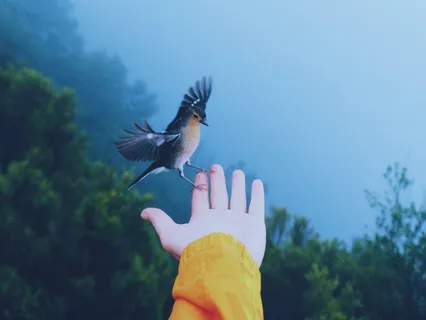 Releasing The Need For Control