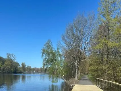 Releasing The Need To Be The Rude Police