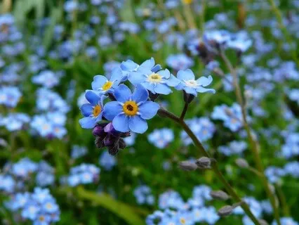 Releasing The Noise Within You - May 11