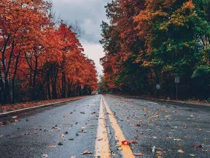 Releasing The Old: Letting Go Of What No Longer Serves You