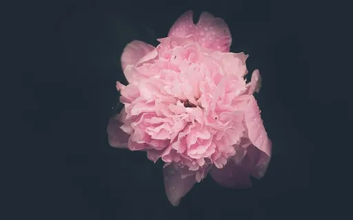 Releasing The People Pleasing Habit