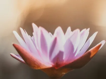 Releasing The Residue Of Fear