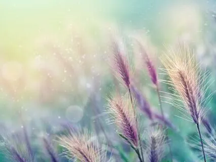 Releasing The Urge To Body Check