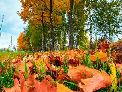 Releasing The Voice & Relaxing The Pelvic Floor