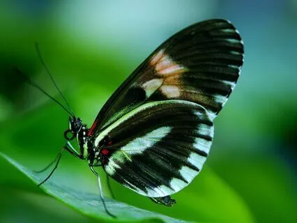 Releasing The Weight Of Shame