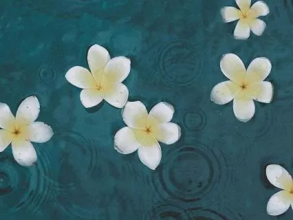 Releasing Thoughts - 8 Minute Mindfulness Meditation
