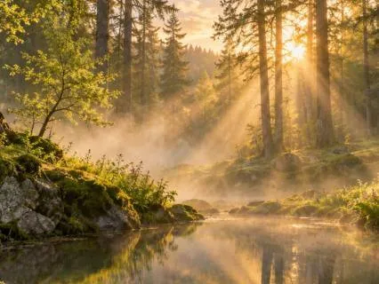 Releasing Traumas And Finding Miracles