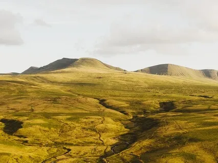 Releasing Triggers - Talk & Guided Practice