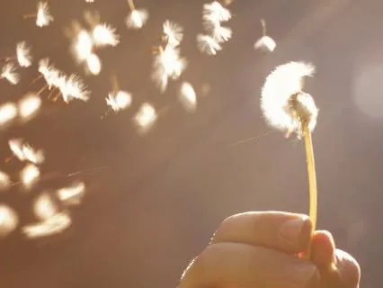 Releasing What Does Not Serve You- A Healing Practice