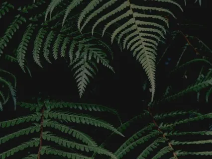 Releasing What Doesn't Serve You Meditation