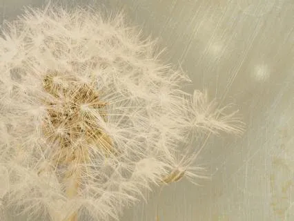 Releasing What No Longer Serves You