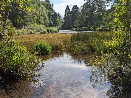 Releasing With The Element Water