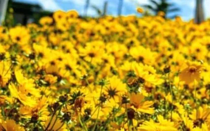 Releasing Worries & Doubts