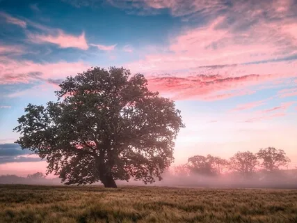 Releasing Worry & Building Self-Acceptance With Breath Work