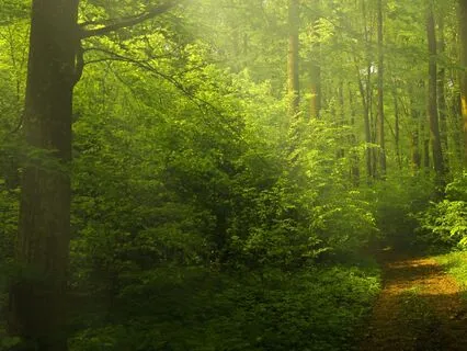 Releasing Your Cancer Fears To Heal