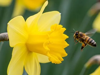 Relief And Forgiveness You Did Not Know You Needed