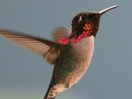 One Priority : Your Comfort