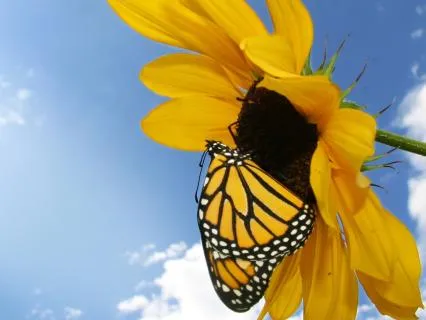 Relief From Anxiety In Every Situation