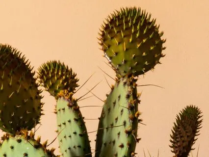 Relief From Fibromyalgia Pain