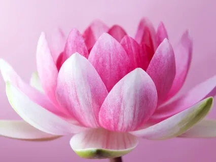 Relief From Pain Through The Breath