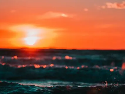 Relief On The Shoreline