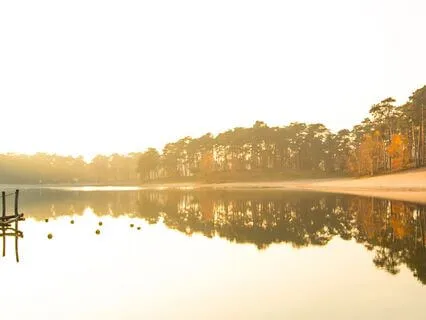 Relief To Your Grief - Bereavement Meditation