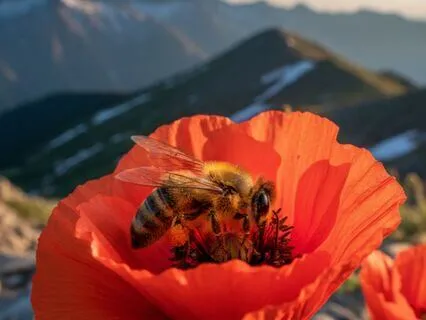 Relief When No One Can Do It Better Than You