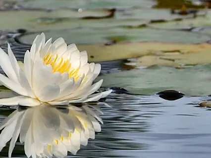 Relieve Your Anxiety | Stop Anxiety Attack | Get Calm