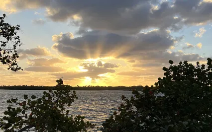 Relieve Anxiety, Stress, & Sadness