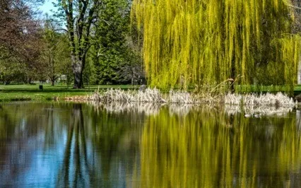 Relieve Neck & Jaw Tension With Feldenkrais Movement